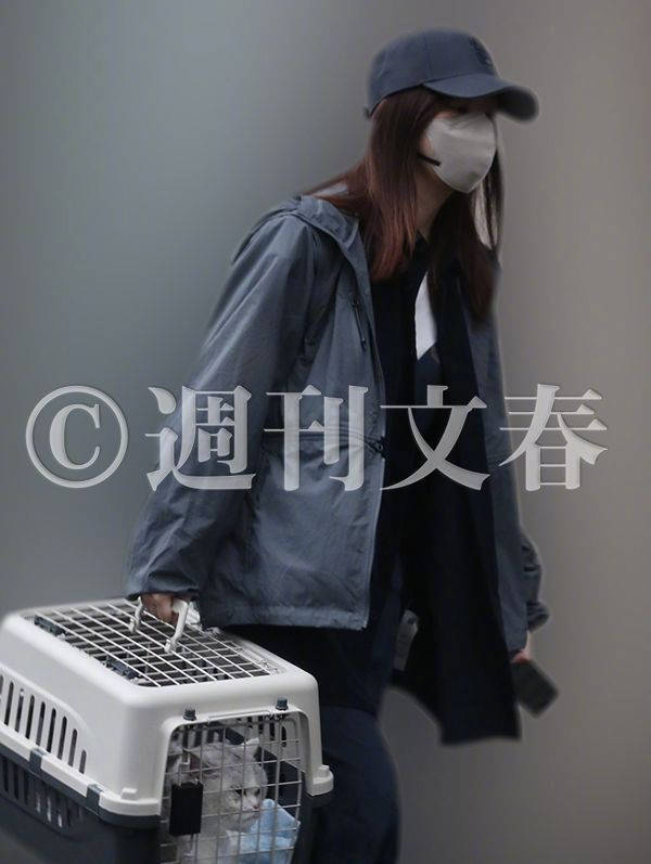 指原莉乃被曝与犬饲贵丈恋情 女方为前AKB48成员